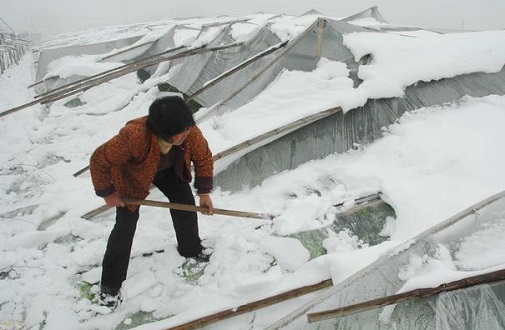 大雪壓垮鋼結(jié)構(gòu)廠房，眾多“二師兄”壯烈犧牲